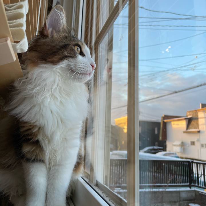 77e67a75 96cd 45f9 9799 54caf791240e 1638656672362