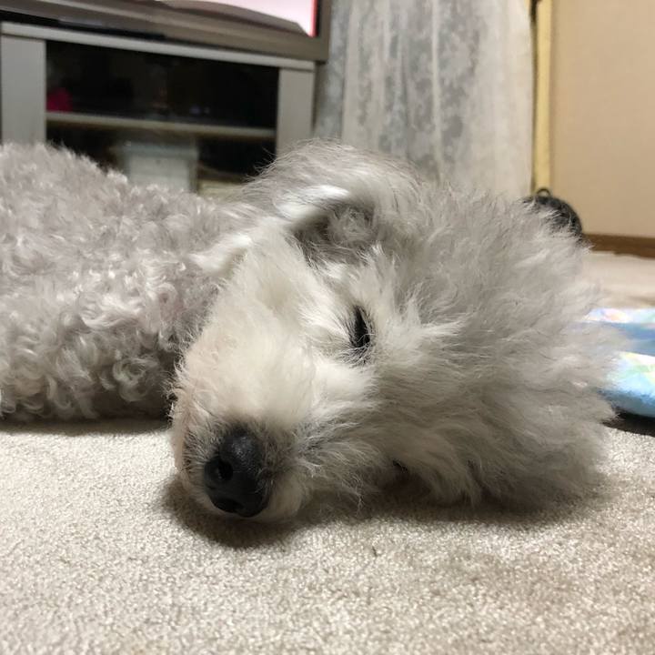 77e68391 cec1 4076 b083 cb914006ec4e 1624751324118