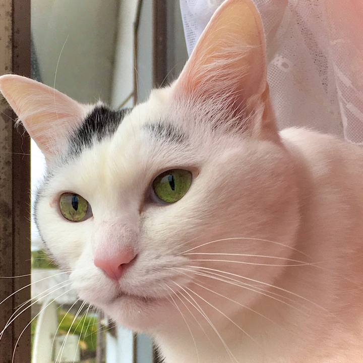 77e6c638 66ad 4811 83b4 b7a09657cba1 1587451725603