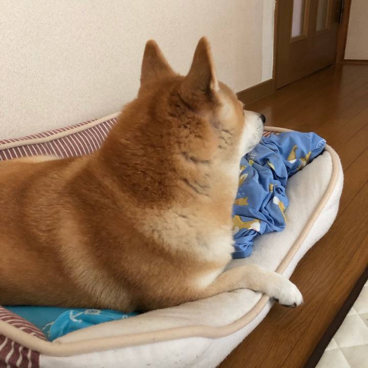 77e6c9df 317c 4ed9 b7b0 607aba92f85a 1566465818396