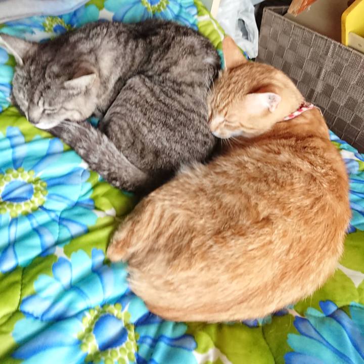 77e6da7e 9d26 4075 a82a ecb2e7b811b5 1560909888342