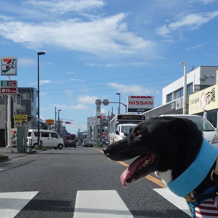 77e6e2e2 6a80 4cf4 80f4 4c70b5b8f179 1629331615323