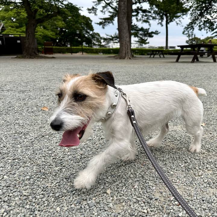 77e70b59 482e 4575 ad11 4bcbe3a2e76a 1716648599073