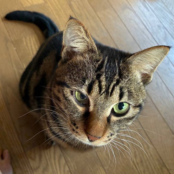 77e70c09 3b2c 4ace aba8 97082c65013a 1773958036730