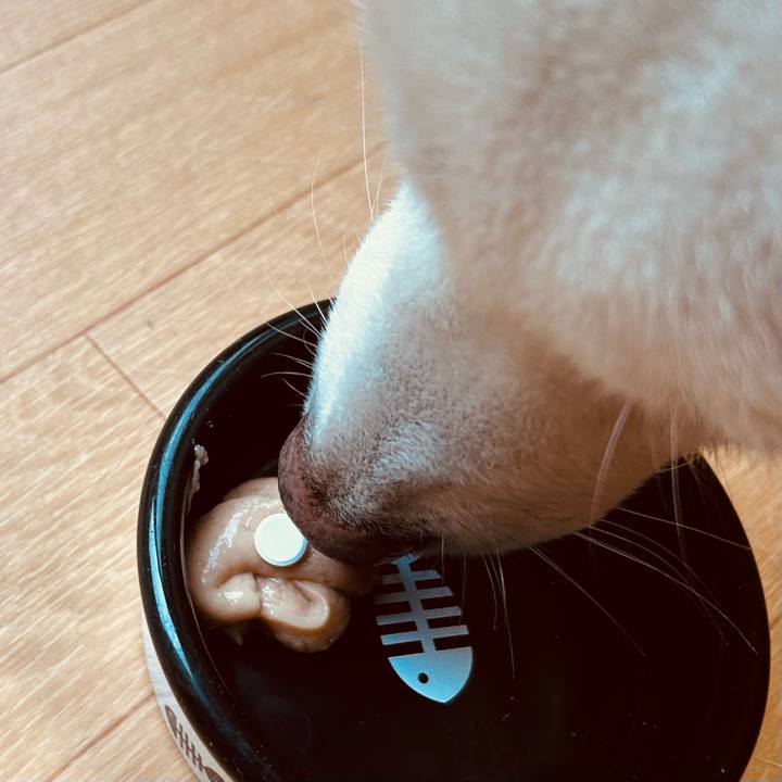 77e71a3f d949 4bb4 90ca b46907e5ca92 1719817681146