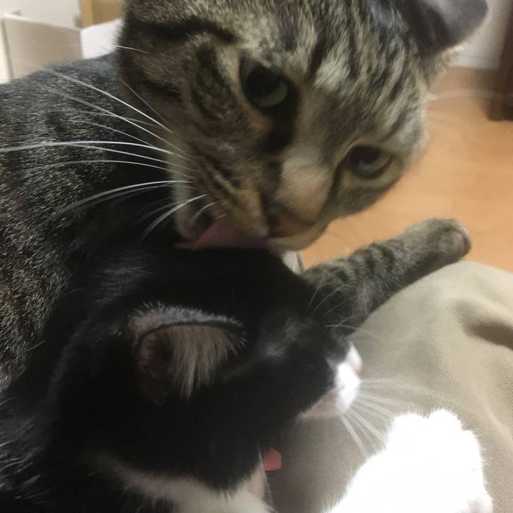 77e75645 5225 4323 a006 385bd4a2453c 1519376779913