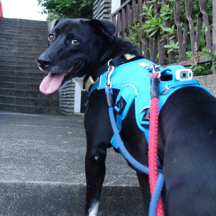 77e77254 705f 4e77 bf75 8b8428c97758 1623320674225