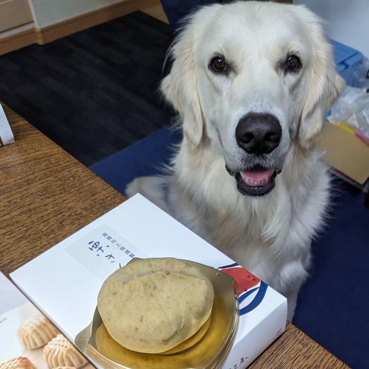 77e781a6 c759 4881 995a b37e64d3cdd5 1759148208401