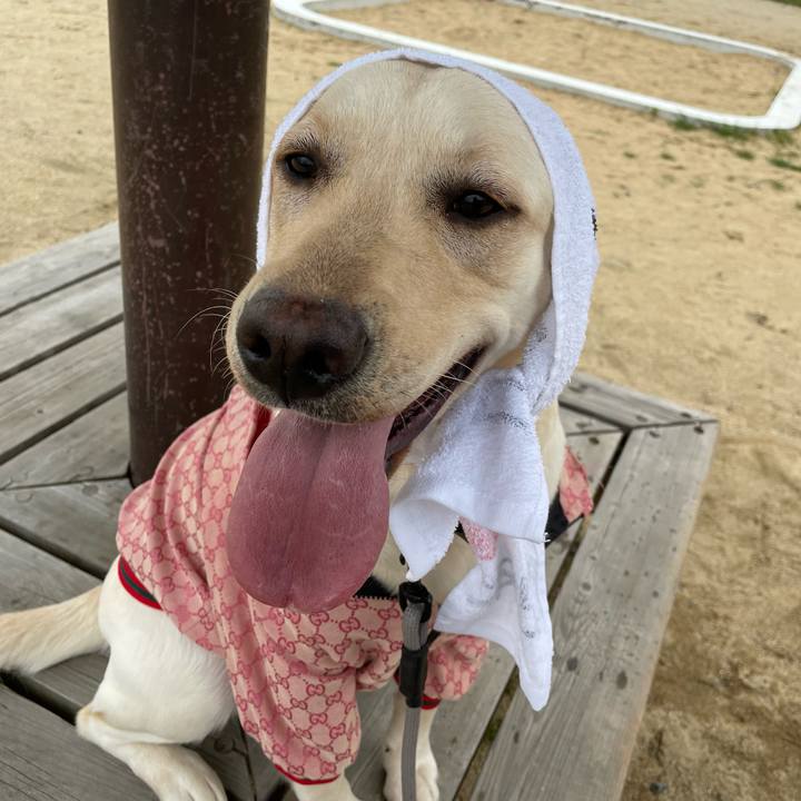 77e78a29 4d2c 405f 9d26 d976f99c15e9 1647864154797