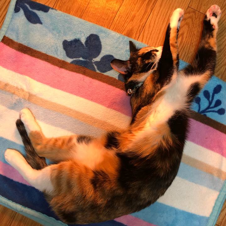 77e7945d 2198 4094 98b8 907c40a542dc 1580633389549