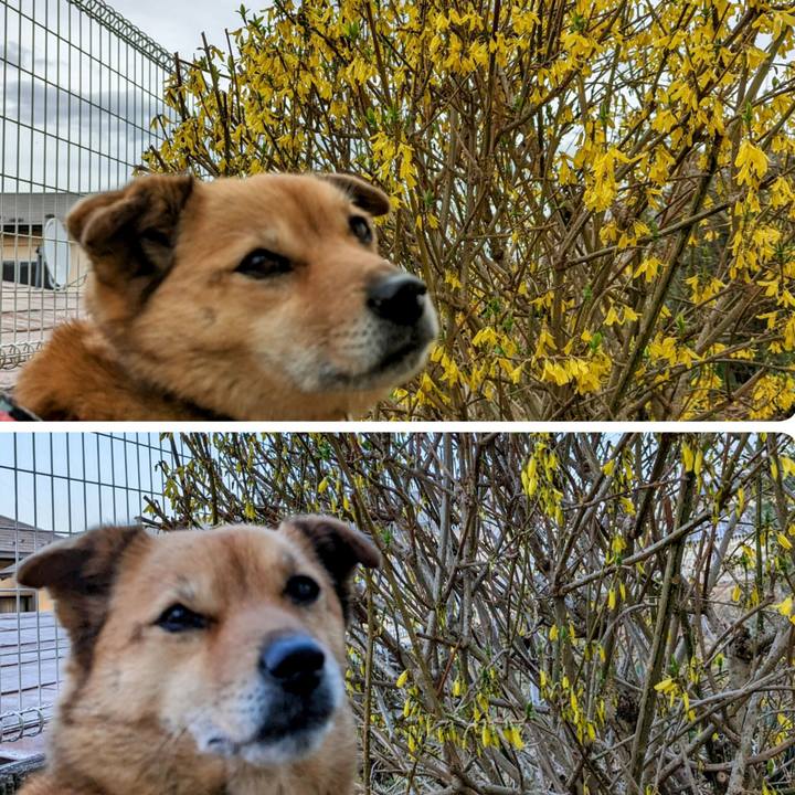 77e79749 4f58 4907 a416 91a6415f8d1b 1679665915664