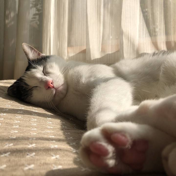 77e7a1d2 15ba 4314 967d 212f5d5d14a5 1698029186482