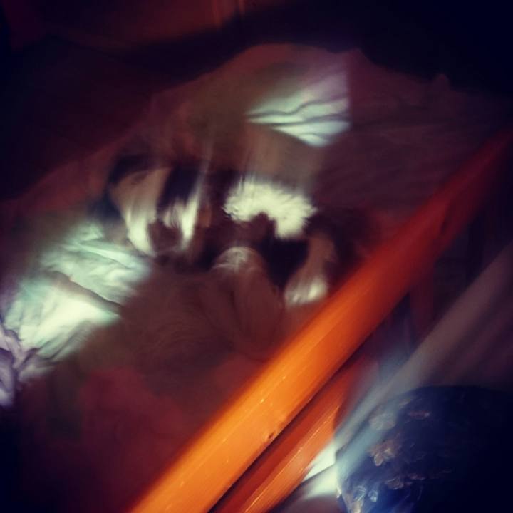 77e7aae7 5c5a 410a 964b 71430662fbc0 1559999954005