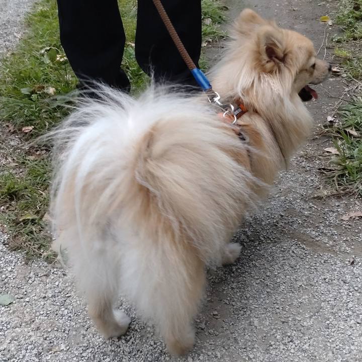 77e7bfae 3c4c 496a a723 8612abaf1bcc 1760676624543