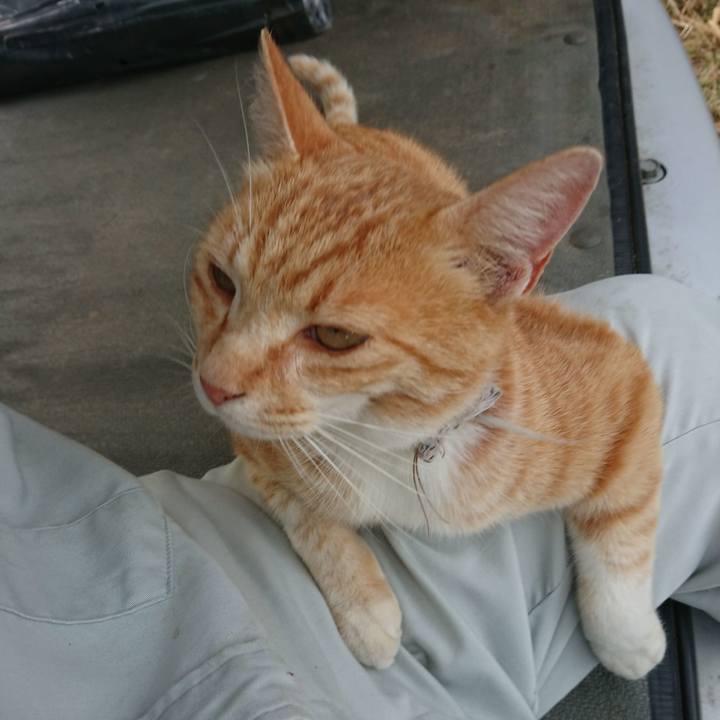 77e7d8fa 9210 476b 8e5c 74e1dde6ffbe 1591263930889