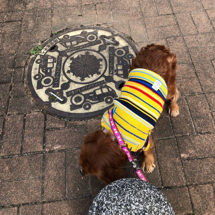 77e80459 4b32 461d 805e beab7e2dded8 1643632314523