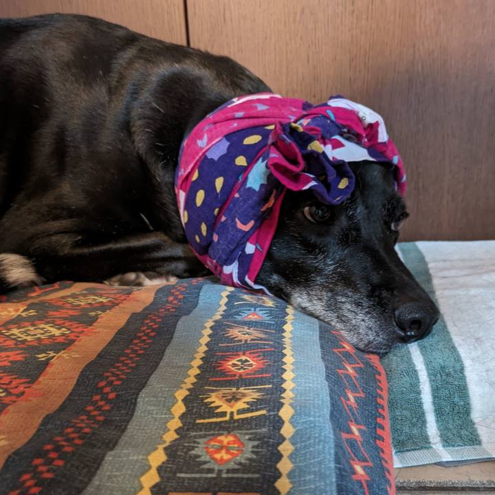 77e8127d c9df 418f bd6a 9bd17c22b953 1717411148490