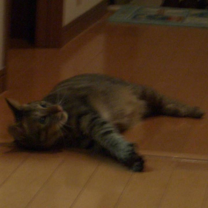 77e84e87 d02b 42b1 8a53 9e7b123c3e36 1634951998335