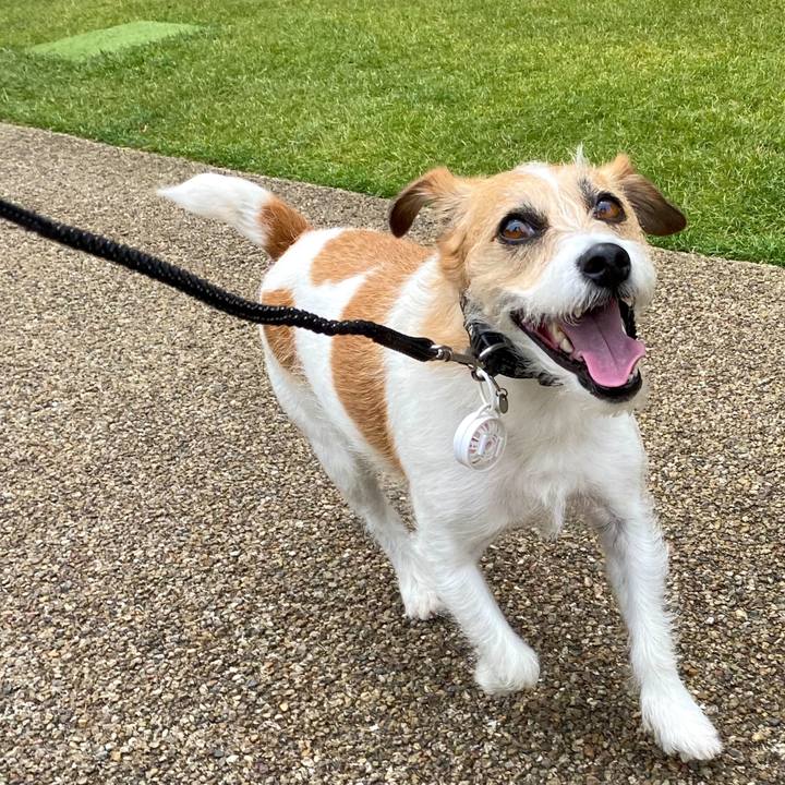 77e8585d 4f26 4a5a b354 36caad5407d4 1653202779724