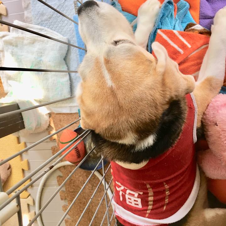 77e864ce 6b57 44da 92d5 7009bcf2f3a5 1543465505780