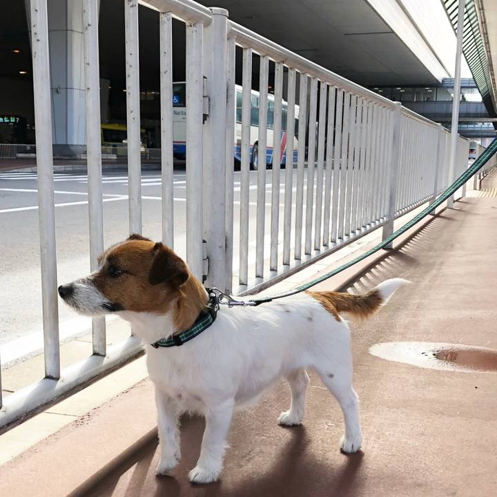 77e8b1a5 f065 4595 a966 66b3e38722ed 1520653918433