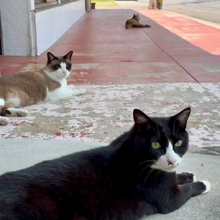 77e8bc17 de52 41b8 8ef0 5f1038f68088 1748742793066