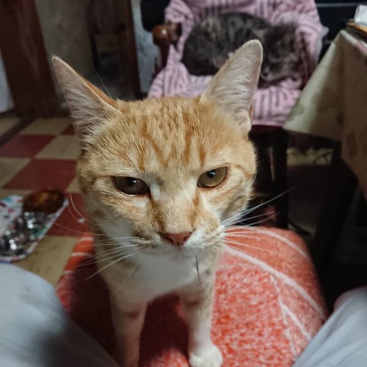 77e8bef3 e2d9 47b2 9086 faac000f5771 1590290934621