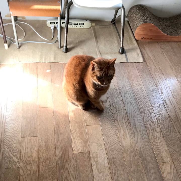 77e91d48 0bf6 4145 8af5 ad909ec17056 1582297055546