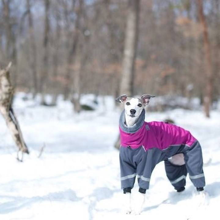 77e942d9 6da1 4818 bf2b 3b09978858ed 1519474214194