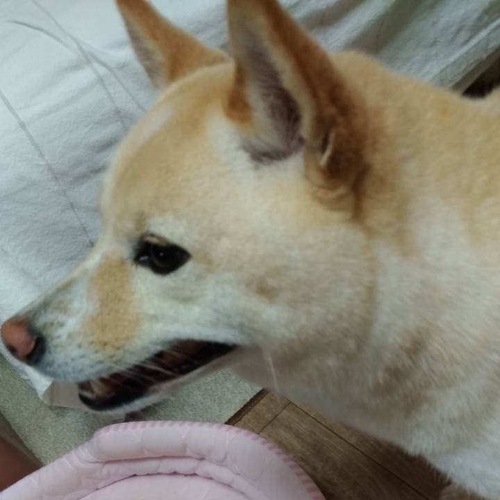 77e95589 533c 465f a1c8 461b35f1af97 1594331839975