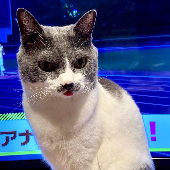 77e99829 f96f 47c7 80c6 f4ecc3e2fbdc 1661507198817