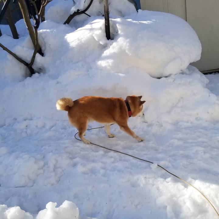 77e99f55 91c8 4275 83aa 74d01e6e52e1 1740786406278