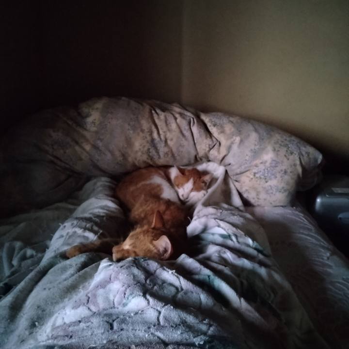 77e99fac 833c 41e6 954c 127b14bda6bf 1755030361575