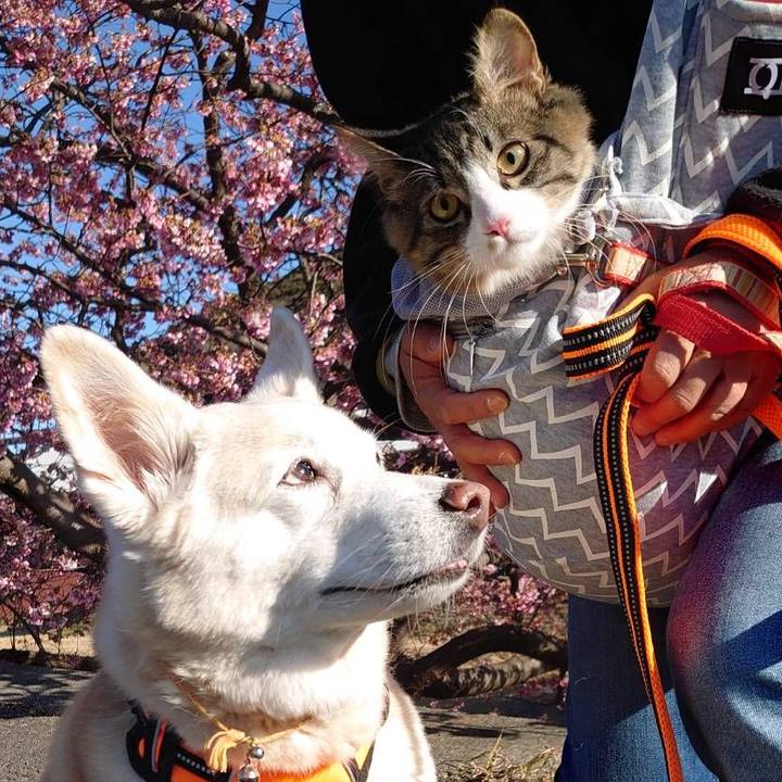 77e9aaa5 e202 42ec b6f9 93d9e3c0f6ab 1646470477948