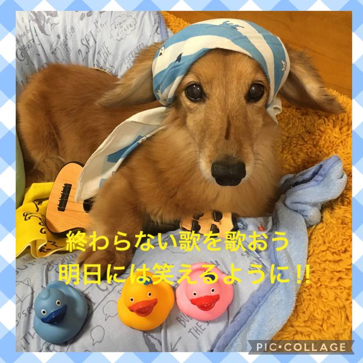 77e9c08e eca9 45a1 9a52 d986129e7e43 1628946302722