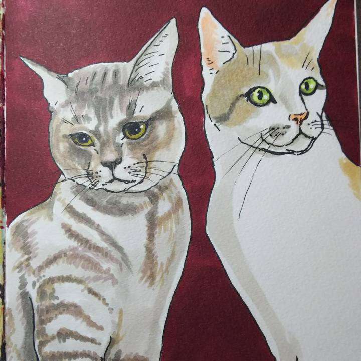 77e9c235 4c4b 4296 815e 5862ae3f404a 1543734388220