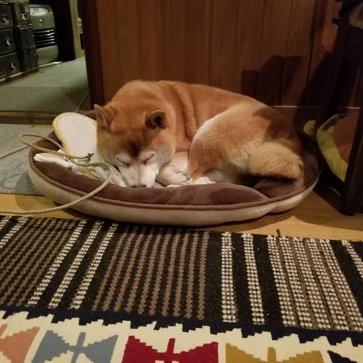 77e9e86e 7cdf 4df1 996f 51424ff7164d 1573895485030