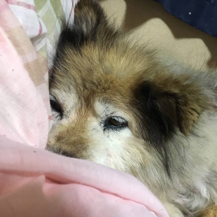 77ea0ce3 4d62 4a28 a38f 937741bfb096 1552133929426