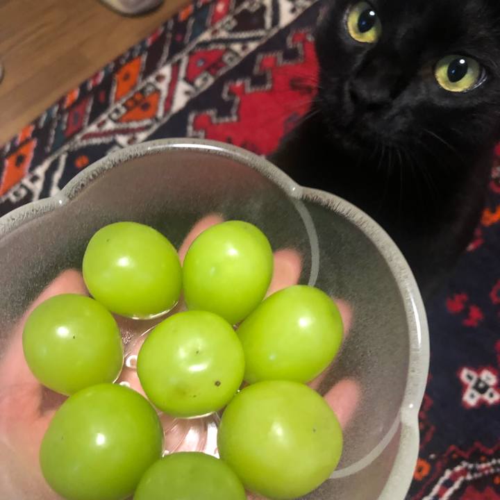 77ea280d b867 472a bed3 9fece19bf6ee 1633865144038