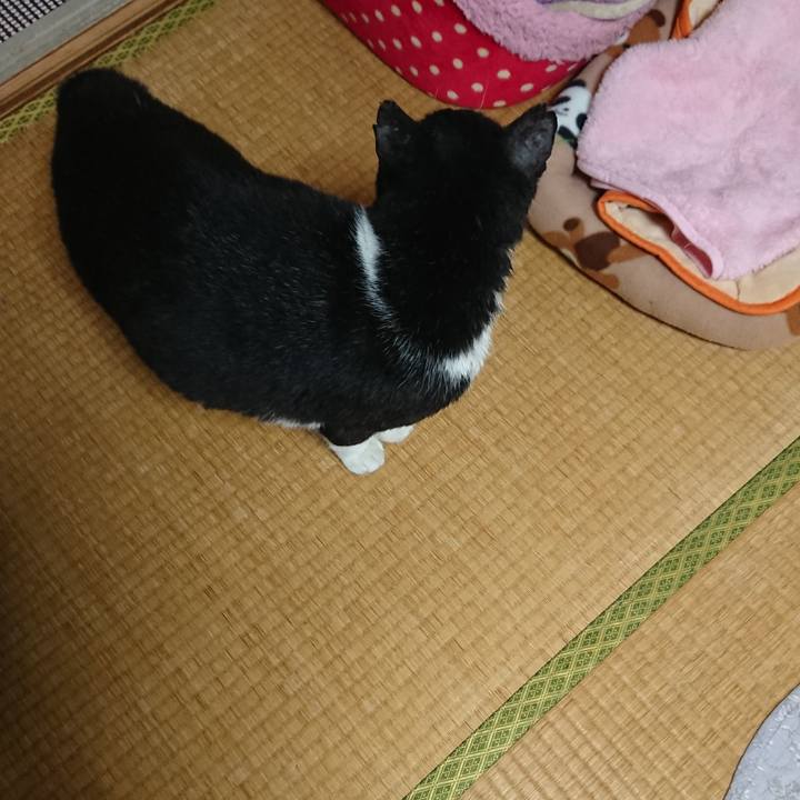 77ea6a91 2675 4ab4 8e4d b1253444345a 1583292757896