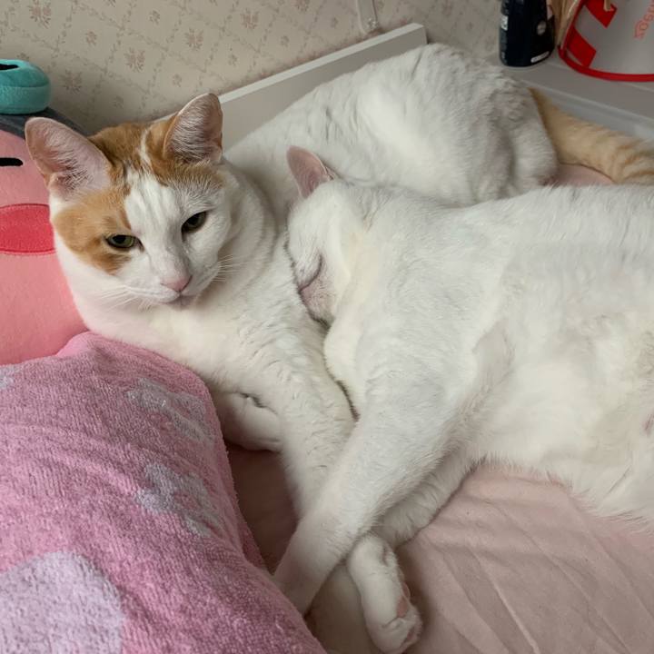 77eacb9c 3dc9 4b15 9be0 ce3b1b3a76c5 1567297140190