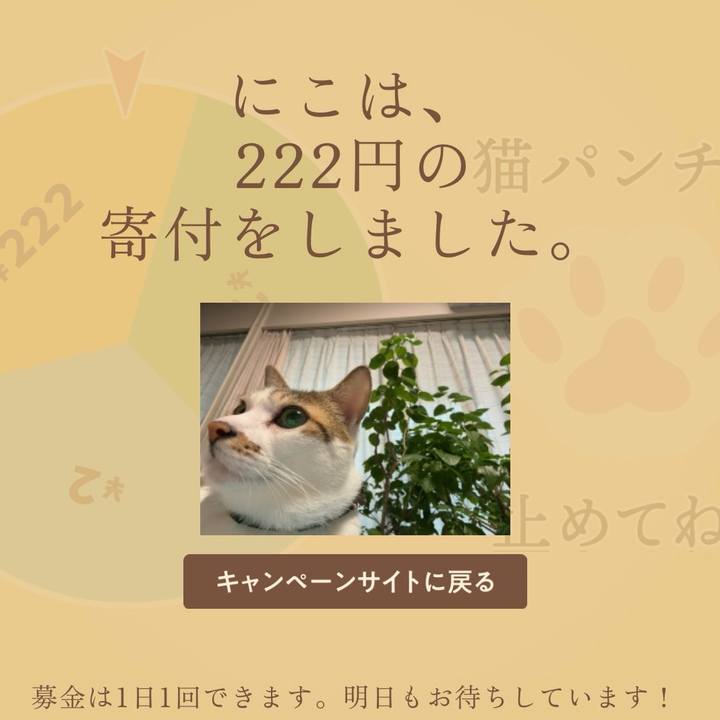 77eb1501 0c80 4291 94dd eeb38be76b53 1771541202226