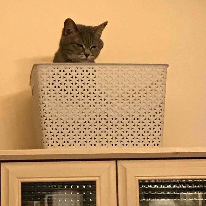 77eb272b 453a 45d6 ab62 eb91f081c82f 1528969815440