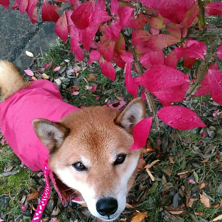 77eb2cb5 7c1d 48de aaeb 0ceec45972bc 1574038385736