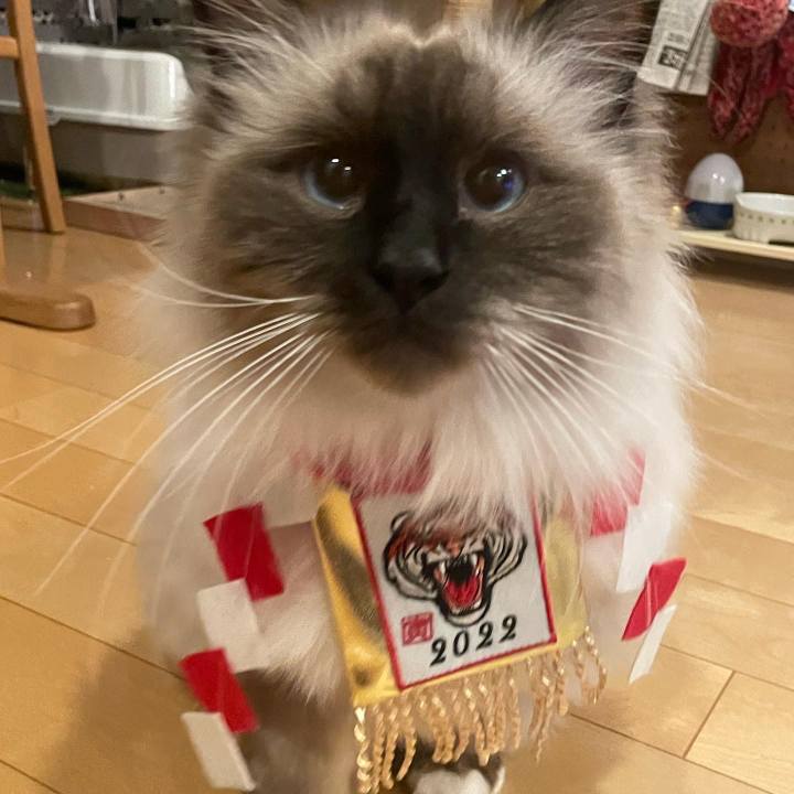 77eb4635 dca8 4262 bd05 bb485e63b7b6 1640988837938