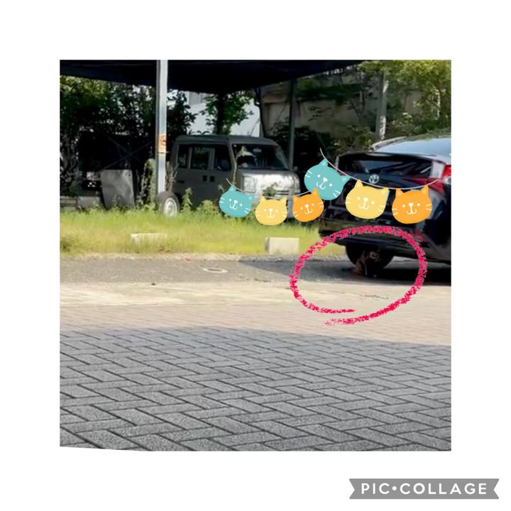 77eb53ee 29bc 4096 8714 c8b95b9b4ebb 1751614670392