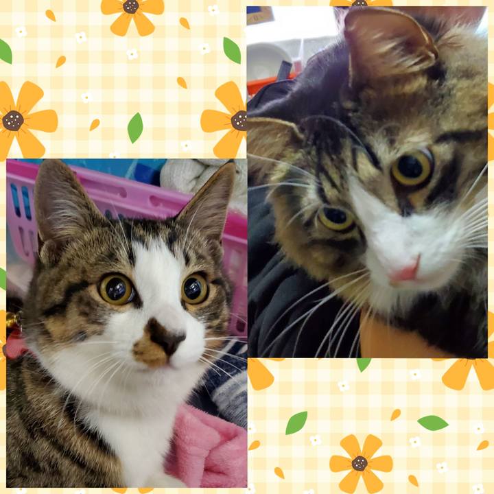 77eb5482 5192 45cf 966b 5a3dd97aa185 1735665104486