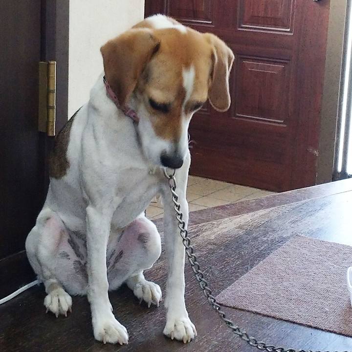 77eb9e83 f6d8 4f66 9ba3 56137a34ef97 1592551769701