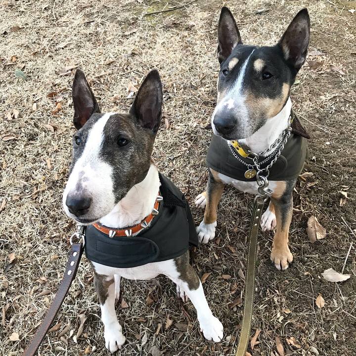 77ebb589 bdd1 4801 b26a 4f41537a9e12 1517219907871