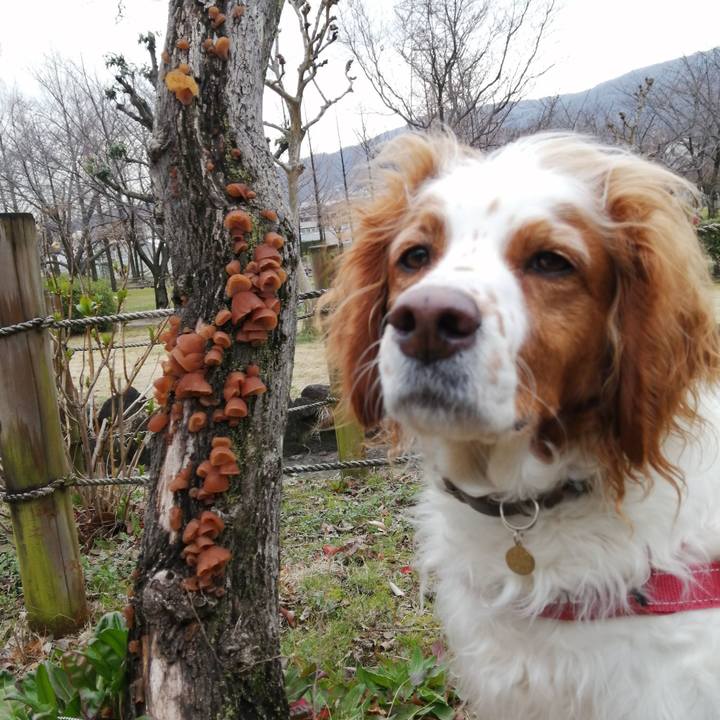 77ebcb19 922b 4569 b991 5e8b2f14a7f1 1583830088368